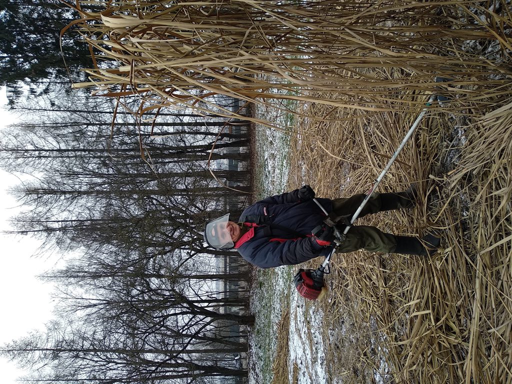 Доцент Конончук О. Б. за скошуванням урожаю.